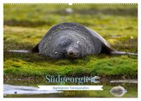 Südgeorgien - Abgelegenes Naturparadies (Wandkalender 2026 DIN A2 quer), CALVENDO Monatskalender