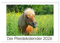 Der Pferdekalender (Wandkalender 2026 DIN A4 quer), CALVENDO Monatskalender