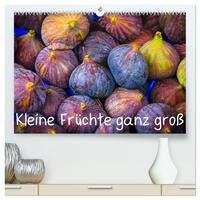 Kleine Früchte ganz groß (hochwertiger Premium Wandkalender 2026 DIN A2 quer), Kunstdruck in Hochglanz