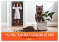 Momente eines Katzenbesitzers - Chaos der Samtpfoten (Wandkalender 2025 DIN A2 quer), CALVENDO Monatskalender