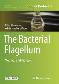 The Bacterial Flagellum