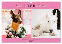 Bullterrier. Freudiges Wesen und Charakter (Wandkalender 2025 DIN A3 quer), CALVENDO Monatskalender