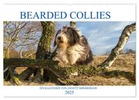 BEARDED COLLIES 2025 (Wandkalender 2025 DIN A2 quer), CALVENDO Monatskalender
