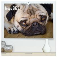 Mops 2025 (hochwertiger Premium Wandkalender 2025 DIN A2 quer), Kunstdruck in Hochglanz