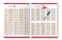Ich übe alle Subtraktionsaufgaben im Zahlenraum bis 20 mit Stift