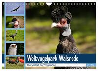 Weltvogelpark Walsrode - Die Vielfalt der Vogelarten (Wandkalender 2025 DIN A4 quer), CALVENDO Monatskalender