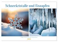 Schneekristalle und Eiszapfen Eisige Zeiten für alle Winterfans (Wandkalender 2026 DIN A2 quer), CALVENDO Monatskalender
