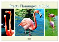 Pretty Flamingos in Cuba (Wandkalender 2026 DIN A3 quer), CALVENDO Monatskalender