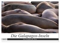 Galapagos-Inseln - Ein Paradies für Tiere (Wandkalender 2025 DIN A3 quer), CALVENDO Monatskalender