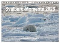 Svalbard-Momente (Wandkalender 2026 DIN A4 quer), CALVENDO Monatskalender