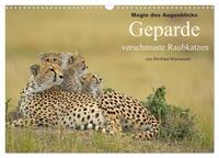 Magie des Augenblicks: Geparde - verschmuste Raubkatzen (Wandkalender 2026 DIN A3 quer), CALVENDO Monatskalender