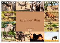 Esel der Welt - Lieblings Langohren (Wandkalender 2025 DIN A4 quer), CALVENDO Monatskalender