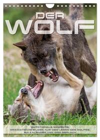 Emotionale Momente: Der Wolf. (Wandkalender 2026 DIN A4 hoch), CALVENDO Monatskalender