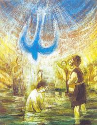 Die Bibel als Buch des Lebens entdecken