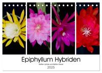 Epiphyllum-Hybriden (Tischkalender 2025 DIN A5 quer), CALVENDO Monatskalender