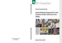 Hydrometallurgical approaches for the extraction of base metals from mine tailings