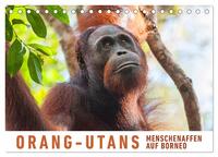Orang-Utans Menschenaffen auf Borneo (Tischkalender 2026 DIN A5 quer), CALVENDO Monatskalender