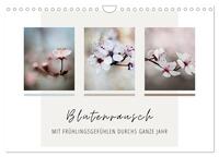 Blütenrausch - Mit Frühlingsgefühlen durchs ganze Jahr (Wandkalender 2025 DIN A4 quer), CALVENDO Monatskalender