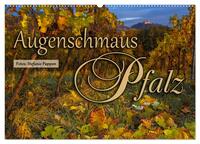 Augenschmaus Pfalz (Wandkalender 2025 DIN A2 quer), CALVENDO Monatskalender