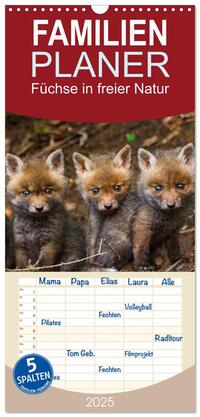 Familienplaner 2025 - Füchse in freier Natur mit 5 Spalten (Wandkalender, 21 x 45 cm) CALVENDO