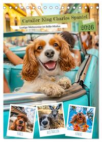 Cavalier King Charles Spaniel - Lustige Weltenreise im Selfie-Modus (Tischkalender 2026 DIN A5 hoch), CALVENDO Monatskalender