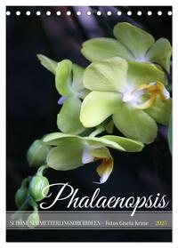 Phalaenopsis - Schöne Schmetterlingsorchideen (Tischkalender 2025 DIN A5 hoch), CALVENDO Monatskalender