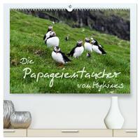 Die Papageientaucher von Mykines (hochwertiger Premium Wandkalender 2025 DIN A2 quer), Kunstdruck in Hochglanz