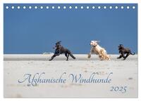 Vorderes Coverbild AFGHANISCHE WINDHUNDE 2025 (Tischkalender 2025 DIN A5 quer), CALVENDO Monatskalender