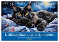 Lieblingsplätze unserer Samtpfoten (Tischkalender 2025 DIN A5 quer), CALVENDO Monatskalender