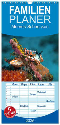 Familienplaner 2026 - Meeres-Schnecken mit 5 Spalten (Wandkalender, 21 x 45 cm) CALVENDO