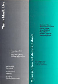 Vorderes Coverbild Musikschulen auf dem Prüfstand