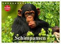 Schimpansen (Tischkalender 2026 DIN A5 quer), CALVENDO Monatskalender