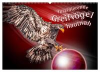 Faszinierende Greifvögel hautnah (Wandkalender 2025 DIN A2 quer), CALVENDO Monatskalender