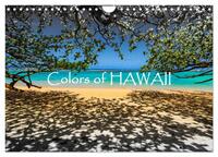 Colors of HAWAII (Wandkalender 2025 DIN A4 quer), CALVENDO Monatskalender