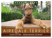 Airedale Terrier (Tischkalender 2025 DIN A5 quer), CALVENDO Monatskalender