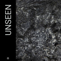 UNSEEN