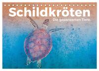Schildkröten - Die gepanzerten Tiere. (Tischkalender 2025 DIN A5 quer), CALVENDO Monatskalender