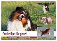 Australian Shepherd - Hütehunde mit Familienanschluss (Tischkalender 2025 DIN A5 quer), CALVENDO Monatskalender