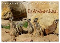 Erdmännchen (Tischkalender 2025 DIN A5 quer), CALVENDO Monatskalender