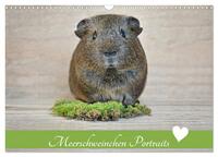 Meerschweinchen Portraits (Wandkalender 2026 DIN A3 quer), CALVENDO Monatskalender