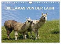 DIE LAMAS VON DER LAHN (Wandkalender 2025 DIN A4 quer), CALVENDO Monatskalender