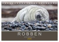 Robben auf der Helgoländer Düne (Tischkalender 2026 DIN A5 quer), CALVENDO Monatskalender