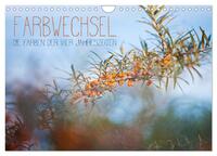Farbwechsel - Die Farben der vier Jahreszeiten (Wandkalender 2025 DIN A4 quer), CALVENDO Monatskalender