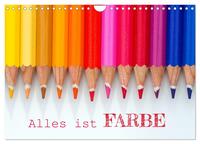 Alles ist Farbe (Wandkalender 2025 DIN A4 quer), CALVENDO Monatskalender