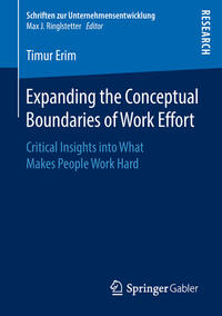 Expanding the Conceptual Boundaries of Work Effort