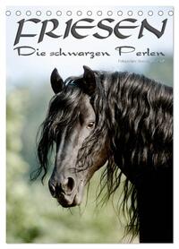 Friesen - die schwarzen Perlen (Tischkalender 2026 DIN A5 hoch), CALVENDO Monatskalender