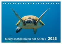 Meeresschildkröten der Karibik (Tischkalender 2026 DIN A5 quer), CALVENDO Monatskalender