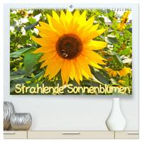 Strahlende Sonnenblumen / CH - Version (hochwertiger Premium Wandkalender 2025 DIN A2 quer), Kunstdruck in Hochglanz