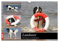 Landseer - Das Wasser ist ihr Element (Wandkalender 2025 DIN A3 quer), CALVENDO Monatskalender