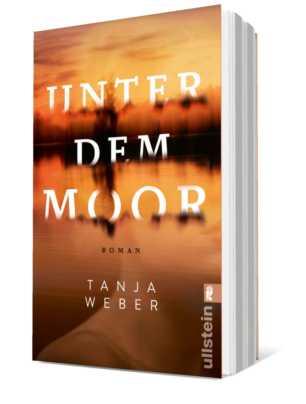 Unter dem Moor